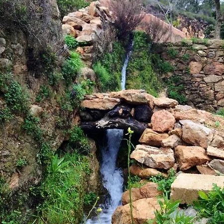 Гостевой дом Finca Ecologica Ibicenca